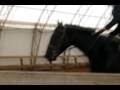 fairwinds farm fall series #2