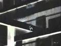Wolf's Rain AMV