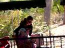 Zoo1 Zoo1