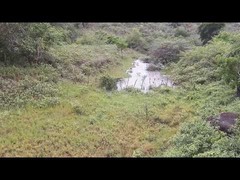 Enchente repentina no Sertão da Bahia (22/12/2013) - Parte 1
