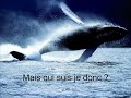 la song de calo