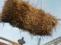 Uruguay: Artigas: Video 2
