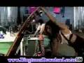 Rihanna - Shut Up and Drive Ringtone
