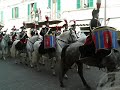 S.Maria degli Angeli festa di sant\