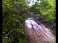 honduas en barranquitas honduas en barranquitas