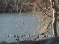 River meditative affirmation
