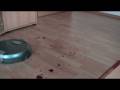 Scooba Wischroboter Roboter Praxistest