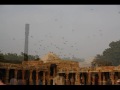 Qutub Minar,Delhi