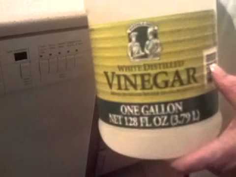 how to vinegar dishwasher
