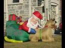 Naughty Santa Naughty Santa