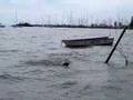 Ekes Vandor balaton