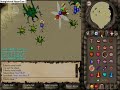 Runescape Kalphite Queen - Full Dharoks Runescape Kalphite Queen - Full Dharoks