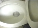 Dragon Con 08 - The Toilet of the Damned