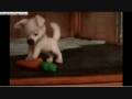 videos de Puppy Bolt scene