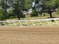 running on the track