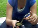 Aprendiendo a preparar el mate