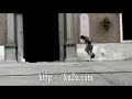 Exelent stunt action Exelent stunt action
