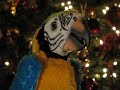 Ron Paul Parrot Ron Paul Parrot