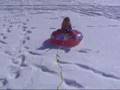 Snow Sledding Champion