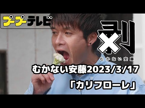 むかない安藤「カリフローレ」(10秒動画)