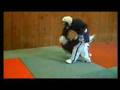 Yoseikan Budo