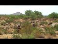 Trail ride 2