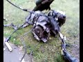 paramotor