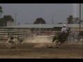 videos de Rope Horse--BROOKEY (heading)