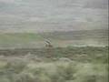 Desert 100 2005