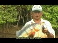 Amazon Sport Fishing DVD Parte 2