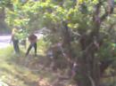 rallye du gard 2008
