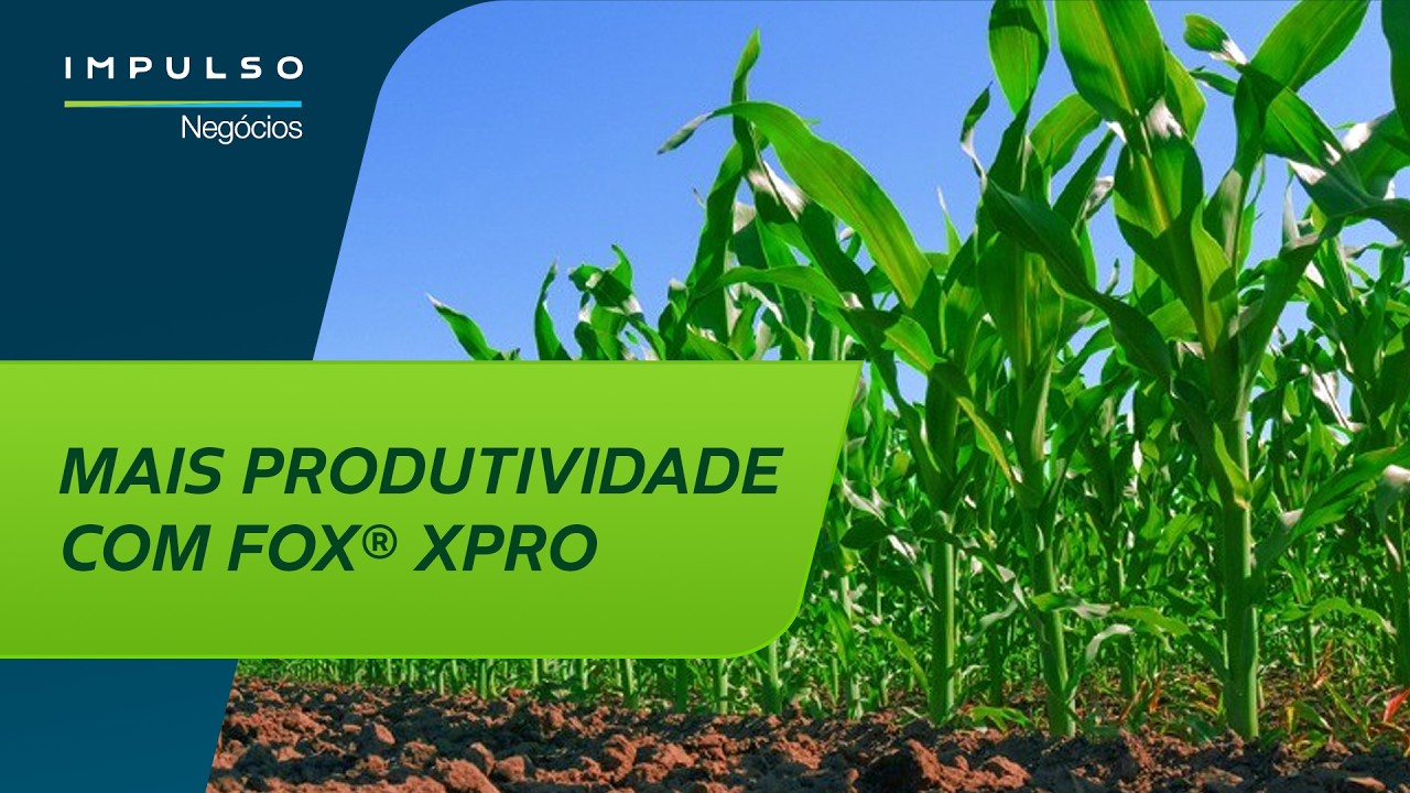 Fox® Xpro: sanidade e produtividade no milho | Impulso Negócios EP. 189