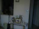 Dan 12-12-08.wmv