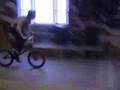 björnar bmx och skate