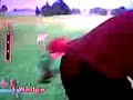 Wii Sports Golf