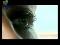 Romantic Techno 1/8