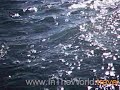Extreme hobie cat capsize sardinia www.InTheWorld.travel sea