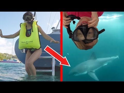 NEZ A NEZ AVEC UN REQUIN BLANC ???  BALADE EN CATAMARAN - Studio Bubble Tea Prank Disney Croisiere_Best sailing videos of the week