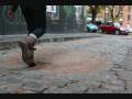 videos de con los pies en la tierra.wmv
