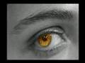 Holy Moment(LOUVE AO SENHOR)Salmos 150:6
