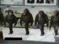 videos de monkey dabkah