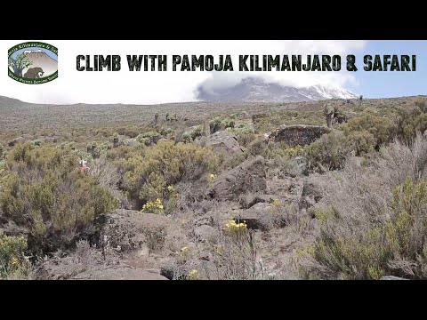 Climb Mount Kilimanjaro