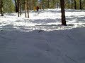 sled wreck