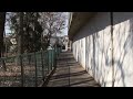 トトロの森