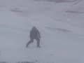 "Южак" в Певеке