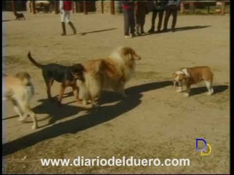 Imagen de previsualización de YouTube