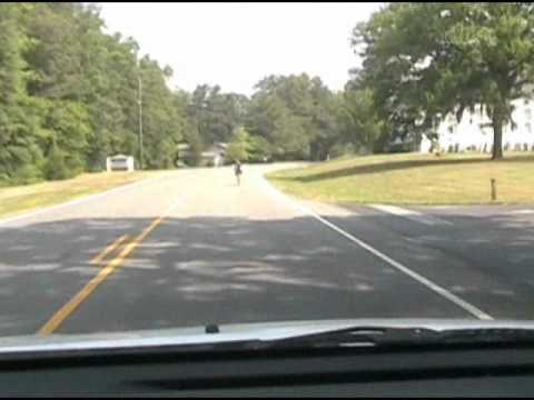 See video