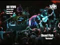 Dead Fish - Molotov (Hangar110 23/12/2007)