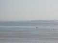 poons 5