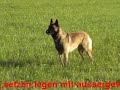Unterordnung auf hohem Niveau